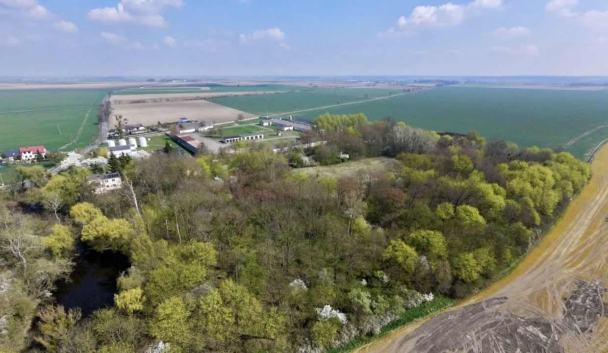 Screenshot 2026-04-22 at 10.46.39