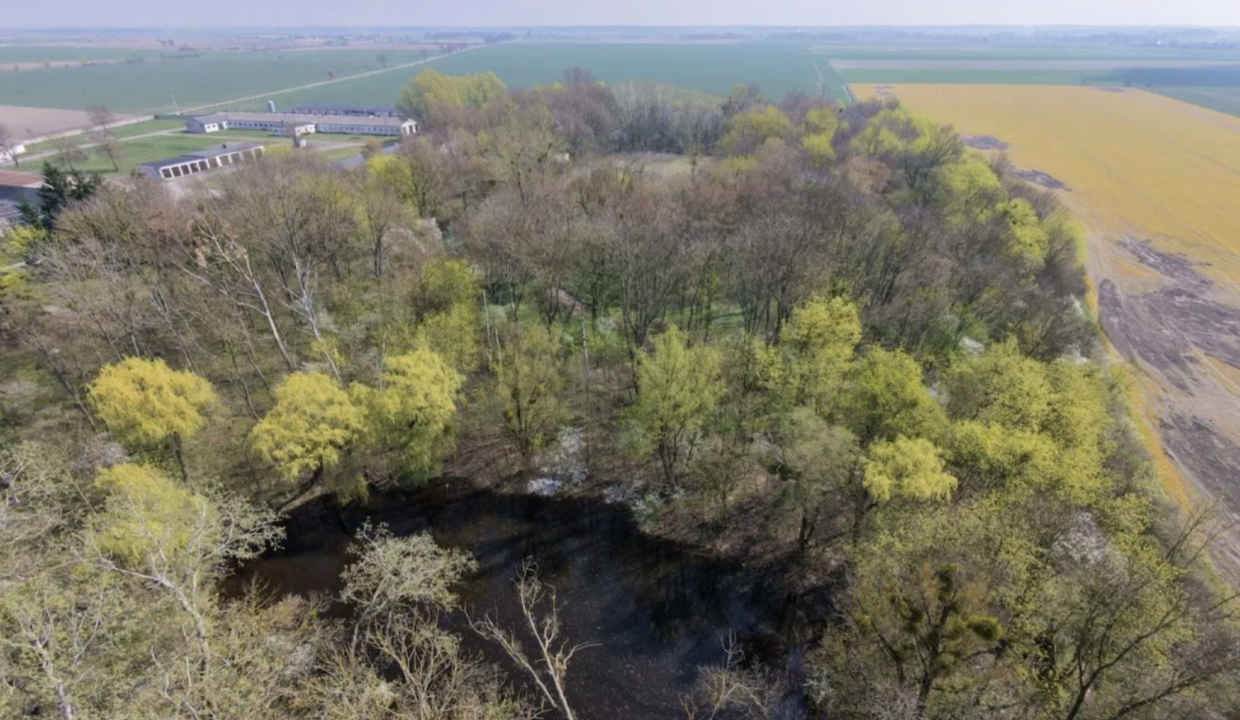 Screenshot 2026-04-22 at 10.46.50