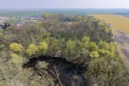 Screenshot 2026-04-22 at 10.46.50