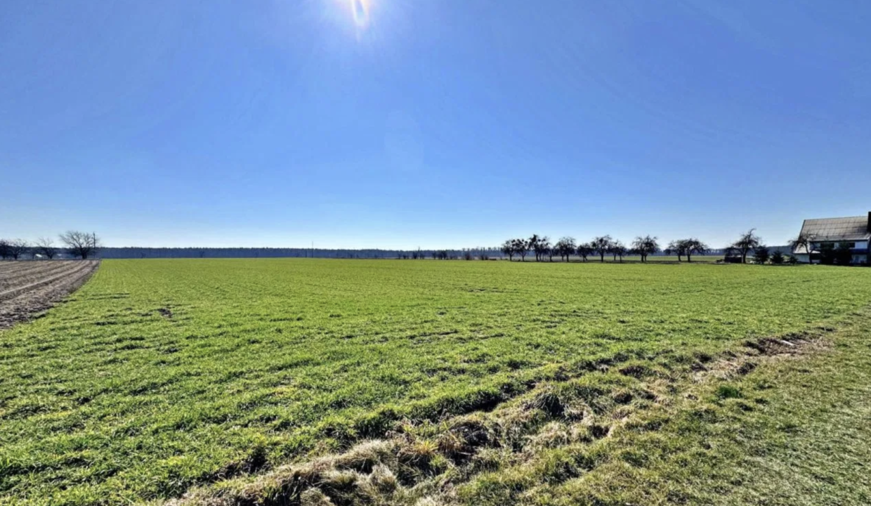 Screenshot 2026-04-22 at 12.36.51