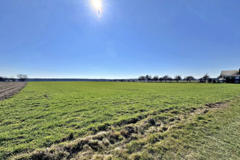 Screenshot 2026-04-22 at 12.36.51